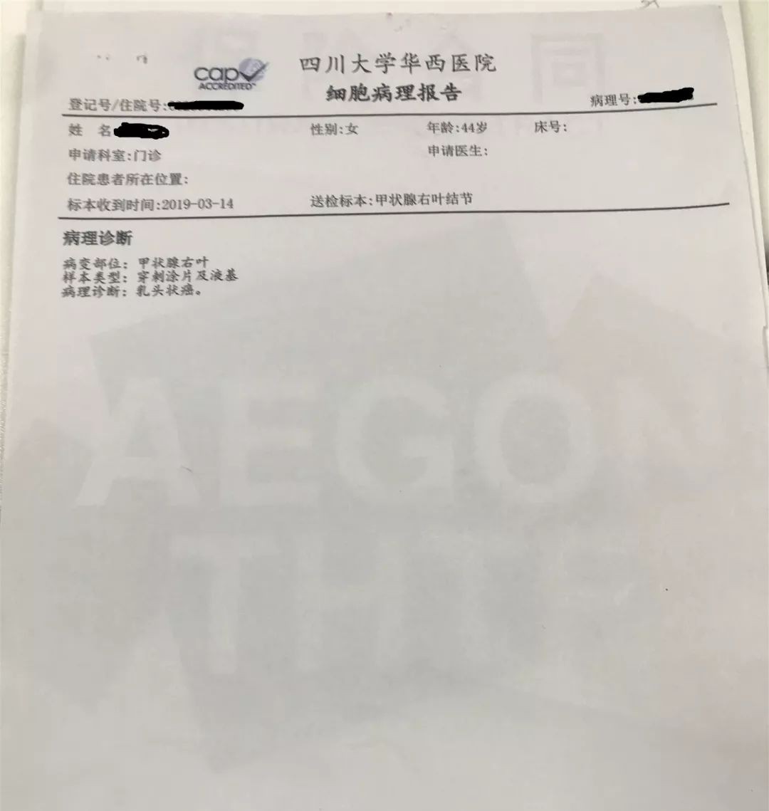 嘉誠保險服務