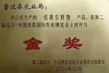 嘉誠保險服務
