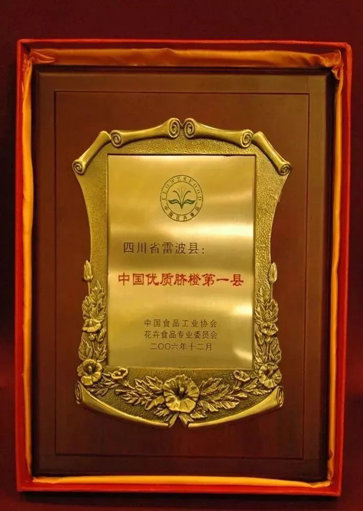 嘉誠保險服務 嘉誠保險服務