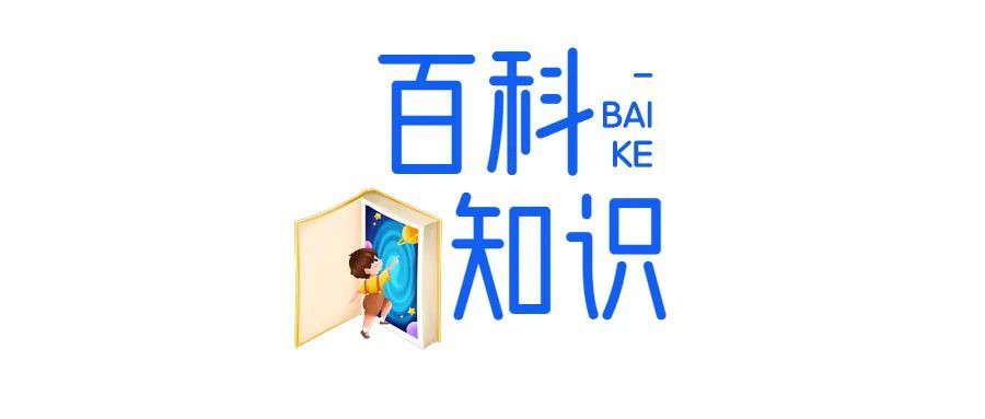 嘉誠保險服務 嘉誠保險服務